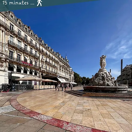 Appartement Entier Cosy Avec Balcon - Centre Montpellier Extérieur photo