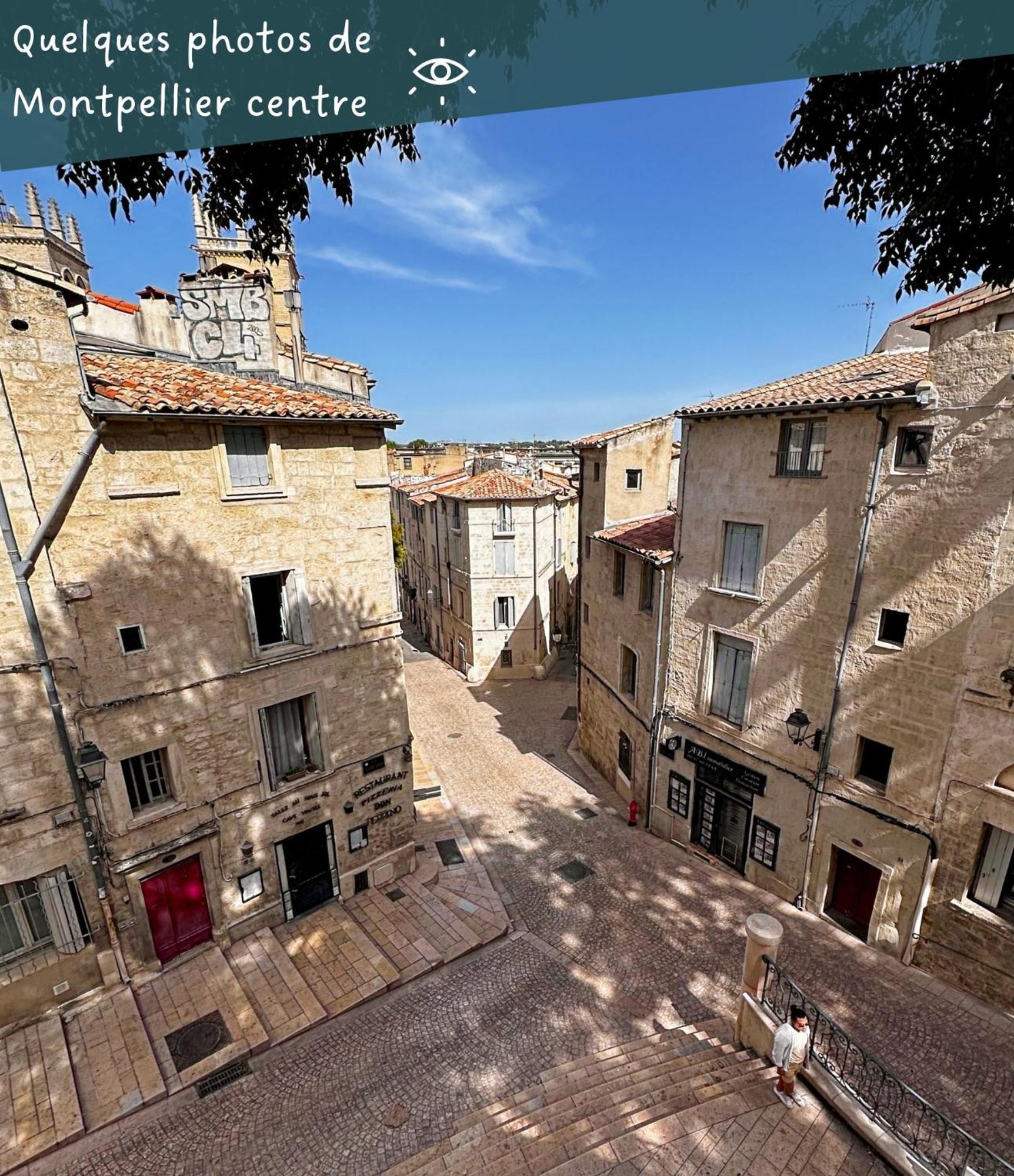 Entier Cosy Avec Balcon - Centre Apartment Montpellier
