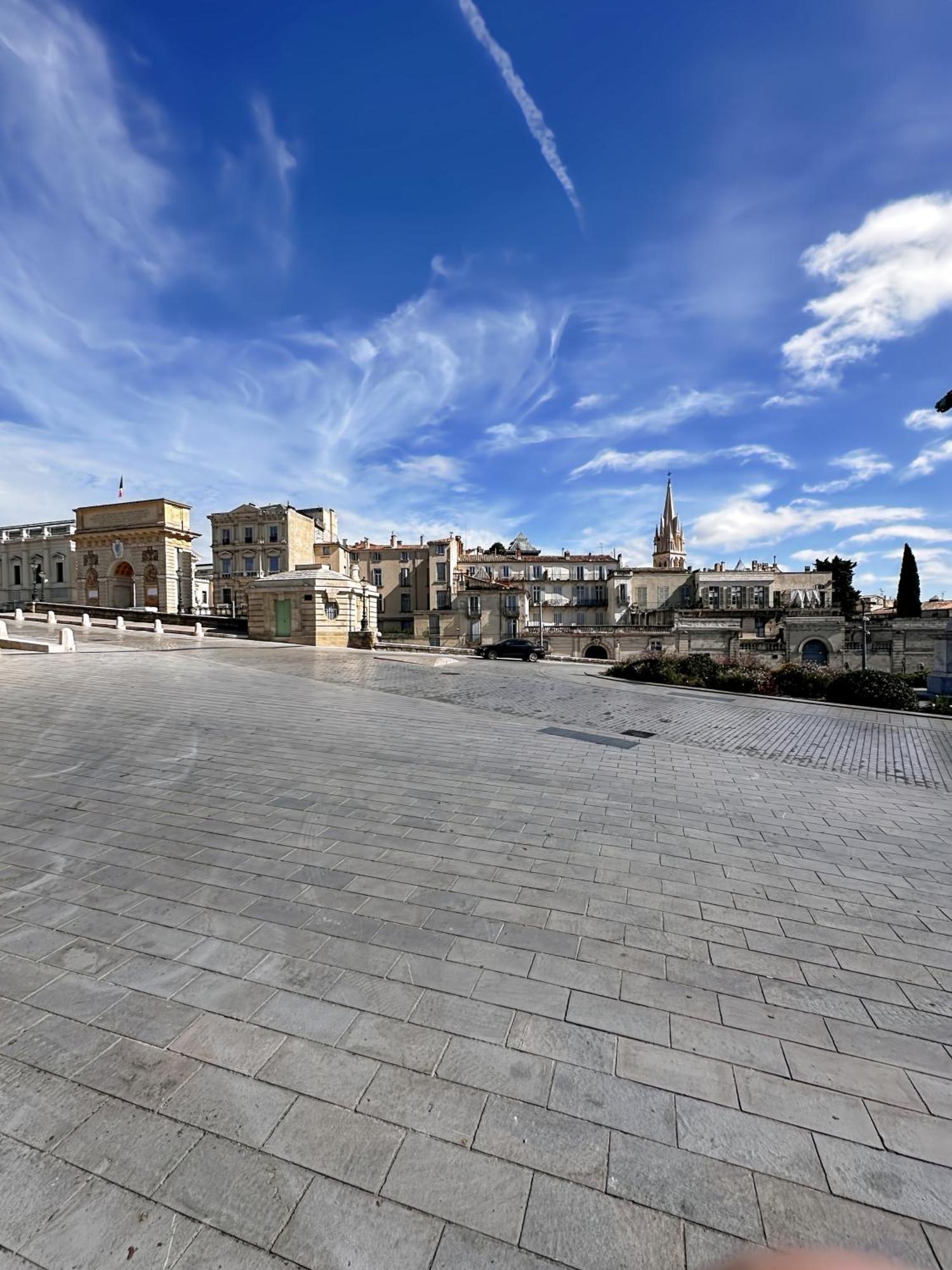 Apartment Entier Cosy Avec Balcon - Centre Montpellier